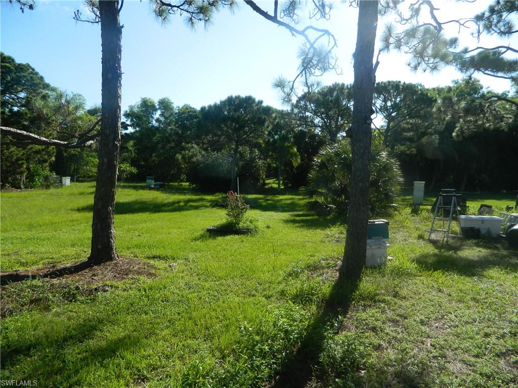 PINE ISLAND CENTER - Land