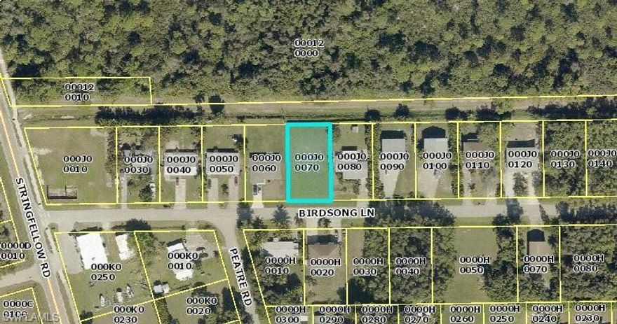 Cleared residental lot with cocoa plum hedge and fence. Short distance from center of Pine Island.
This lot would be perfect for your new home as easy access to grocery stores, pharmacy,community pool and library. Pine Island has some of the best fishing, great choice of resturants, quite laid back Florida life.
Come start enjoying the sunshine state.

The correct Strap Number is listed below. Realist has not updated as recently the property was transferred.

The PID # is 28-44-22-L1-000J0.0070
