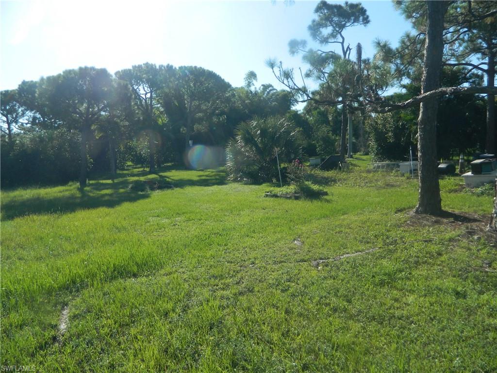 PINE ISLAND CENTER - Land