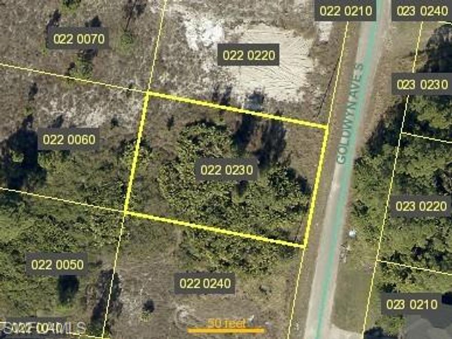 This quarter-acre residential lot offers an excellent opportunity to build your dream home in one of the most sought-after areas of Lehigh Acres, Florida. Situated in a quiet and desirable neighborhood, the property provides ample space for a custom-built home, outdoor living areas, and added privacy, making it ideal for homeowners or investors.

Conveniently located near major roadways, shopping, dining, schools, and everyday amenities, this lot offers the perfect balance of peaceful residential living and easy accessibility. With continued growth and development in the area, this property presents strong long-term value. The seller is motivated, so bring all offers and take advantage of the opportunity to secure a quarter-acre lot in a prime Lehigh Acres location.