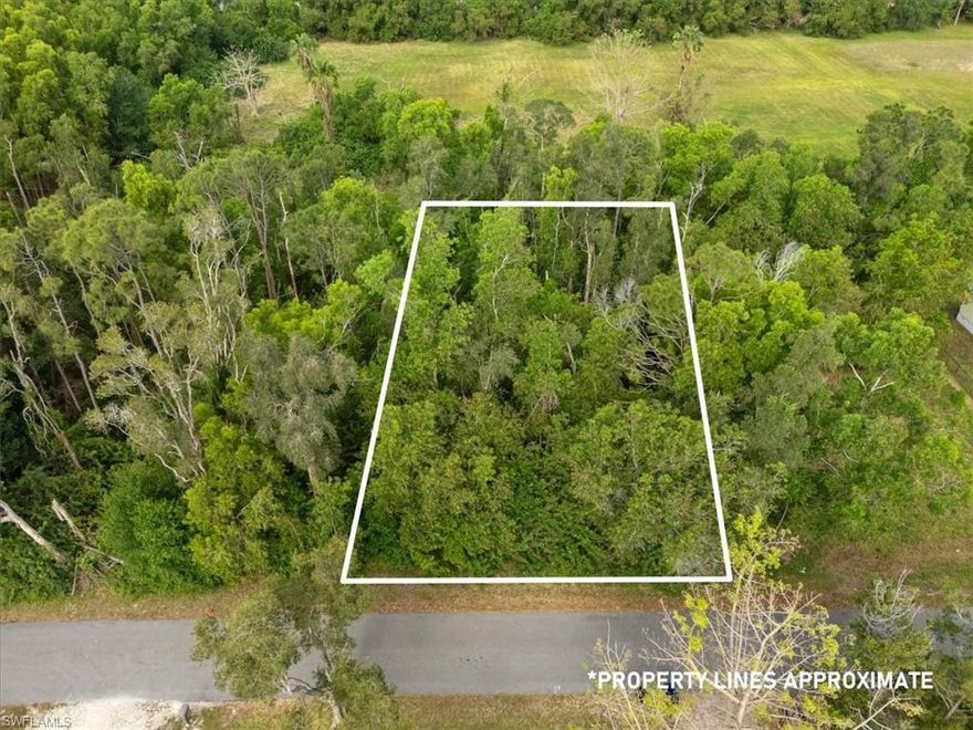 This beautiful 0.29-acre lot in the San Carlos community offers stunning views, mature trees, privacy, and paved road access. Zoned for residential use, it's the perfect spot to build your dream home—and more! The neighboring parcel to the west is a large property, providing added seclusion with no homes directly behind. No HOA and easy access to public roads make this a great opportunity.