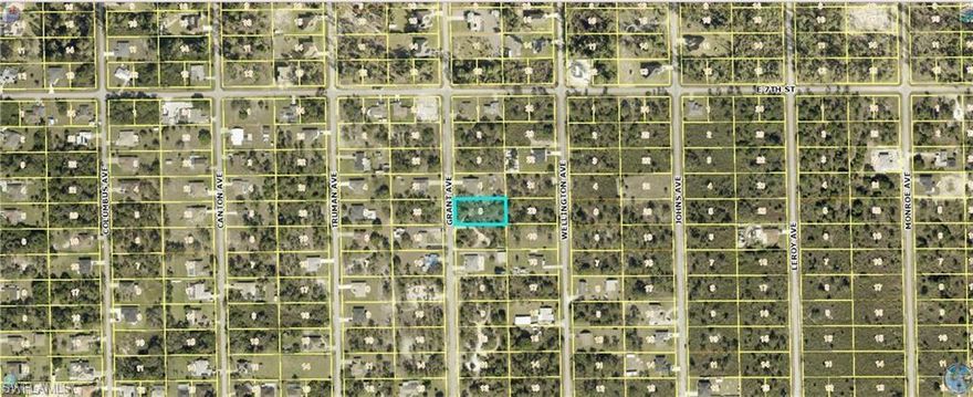 Nice Half Acres Lot for sale in developing area of Lehigh Acres ,Newer homes nearby.