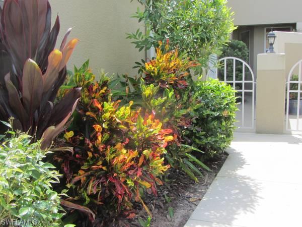 SUMMERWIND - Residential