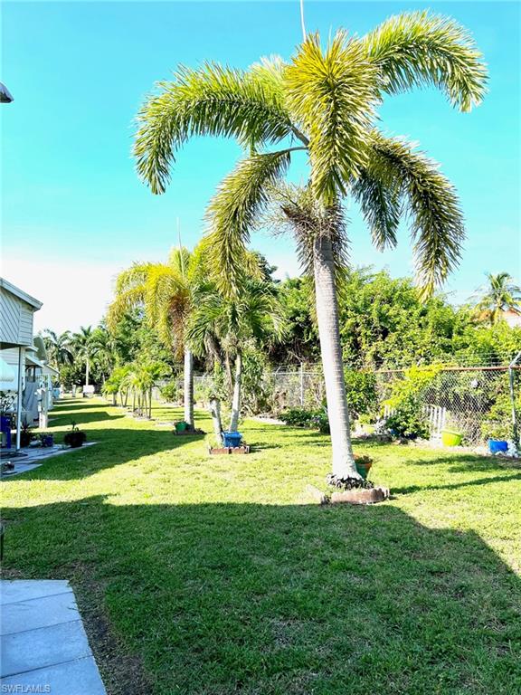 PALMETTO PALMS R V - Residential