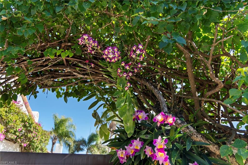 TIERRA MAR - Residential