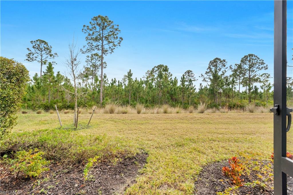 PRESERVE AT BABCOCK RANCH - Residential