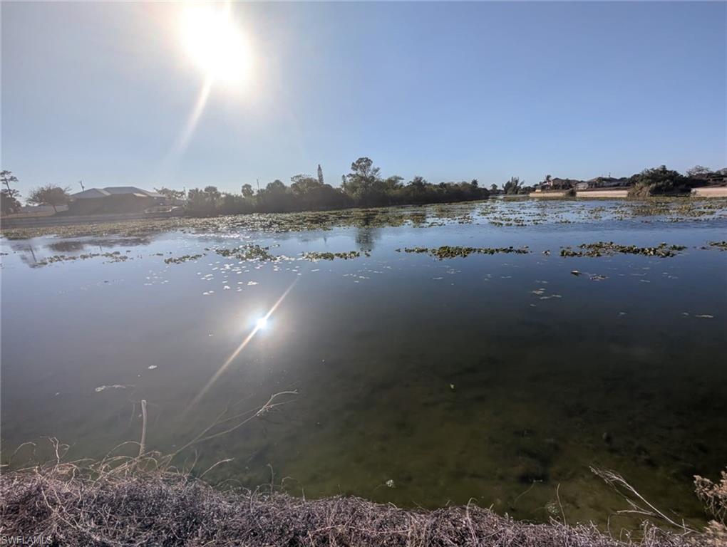 CAPE CORAL - Land