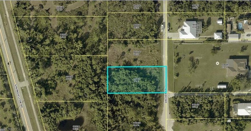 Nice 1/2 acre lot on a cul-de-sac street in a great neighborhood just waiting for a new home. Easy access to major thoroughfare and close to Pine Island Center for shopping, restaurants, community pool, museum & library. All information deemed reliable but not guaranteed, buyers to do due diligence.