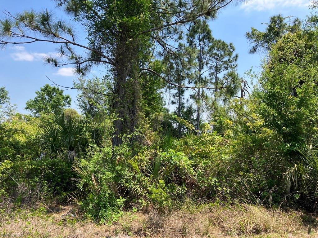 PORT CHARLOTTE - Land