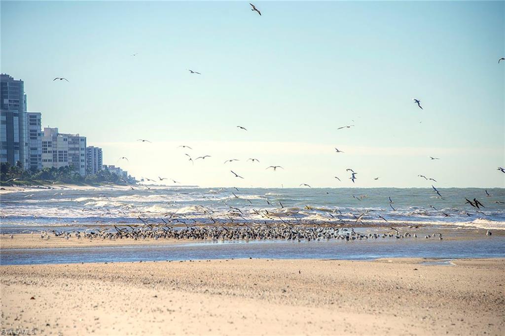 BREAKWATER - Residential