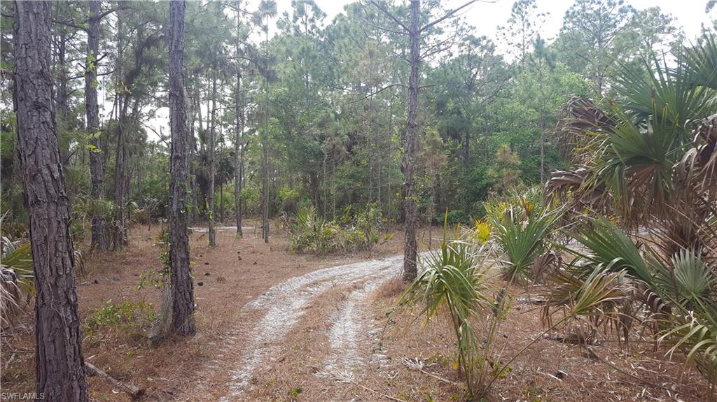 GOLDEN GATE ESTATES - Land