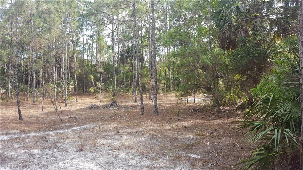 GOLDEN GATE ESTATES - Land