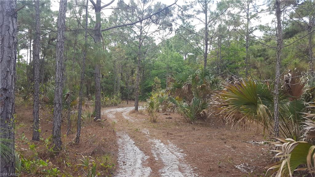 GOLDEN GATE ESTATES - Land