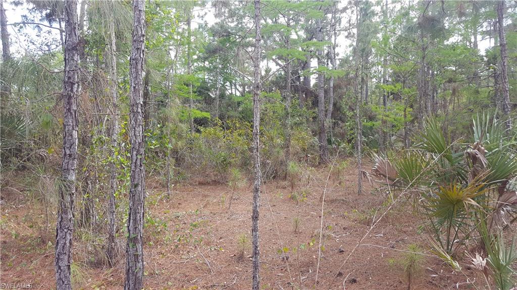 GOLDEN GATE ESTATES - Land