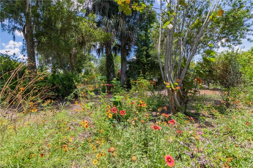 LABELLE - Residential