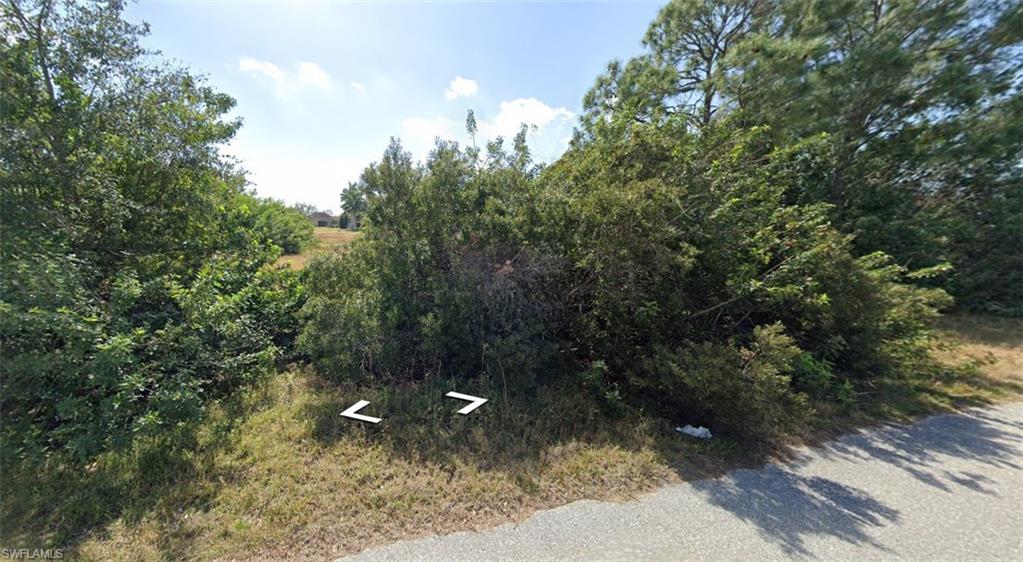 CAPE CORAL - Land