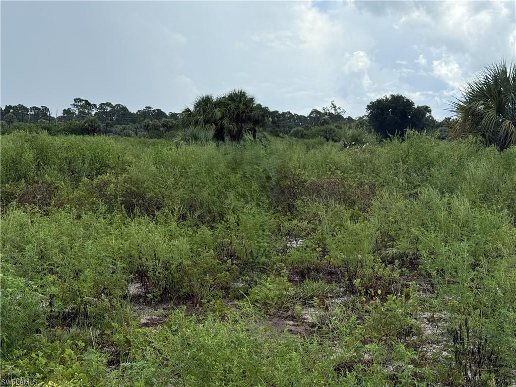 BANYAN VILLAGE - Land