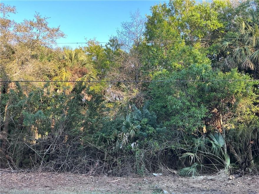 Build your dream estate on this 2.81-acre residential lot in Golden Gate Estates in Naples. Located in a desirable area, this acreage parcel offers privacy, space for a custom home, guest house, workshop, or RV/boat storage with no HOA restrictions. Enjoy peaceful country living while remaining just a short drive to shopping, dining, top-rated schools, and Gulf Coast beaches. Ideal for a primary residence, new construction project, or long-term investment opportunity.