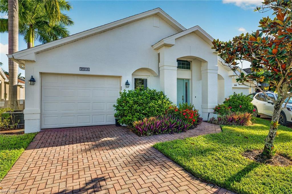3516 Magenta CT 15