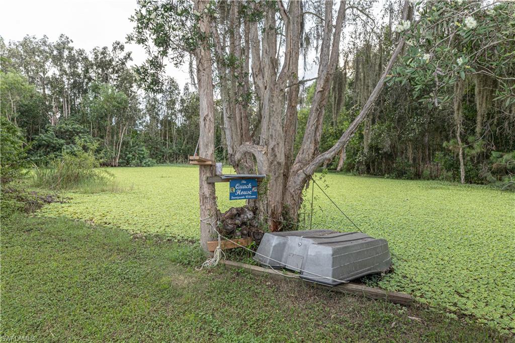 SAN CARLOS PARK - Residential