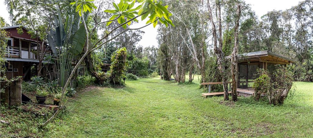 SAN CARLOS PARK - Residential