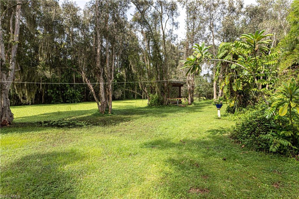 SAN CARLOS PARK - Residential