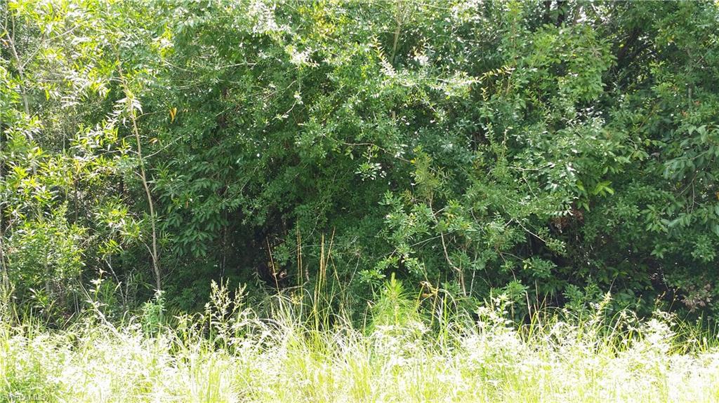 ACREAGE HEADER - Land