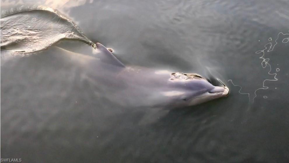 GULFHAVEN - Residential