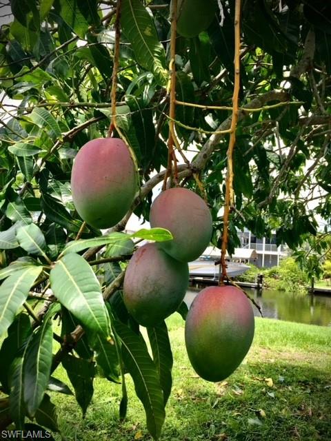 GULFHAVEN - Residential