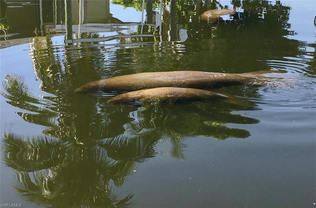 GULFHAVEN - Residential