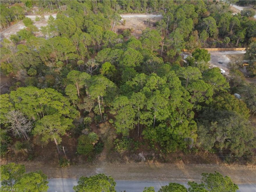 Discover the perfect opportunity to own 1.25 acres in the desirable Montura Ranch Estates! This spacious lot offers plenty of room to build your dream home, create a private retreat, or invest in Florida land for the future.
 Located on a paved road with power lines nearby, this property makes building more convenient and accessible. Even better, it’s in Flood Zone X, giving you added peace of mind. Enjoy the quiet, rural lifestyle while still being close to everything you need—just minutes from LaBelle and only a few hours from Miami. You’ll love the balance of privacy and accessibility, with wide-open spaces and beautiful Florida skies all around. Whether you’re ready to build now or invest for later, this property offers space, location, and opportunity all in one. Don’t miss your chance to own a piece of Montura!