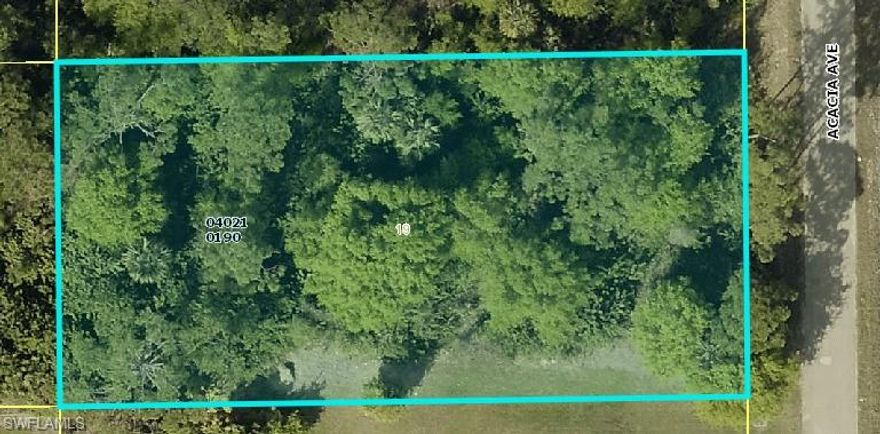 .50 ACRE LEHIGH ACRES FL, A CITY THAT GROWS EVERY DAY BEAUTIFUL LOT TO BUILD THE HOUSE OF YOUR DREAMS OR FOR INVESTMENT IN A QUIET AND CENTRAL NEIGHBORHOOD CALL US