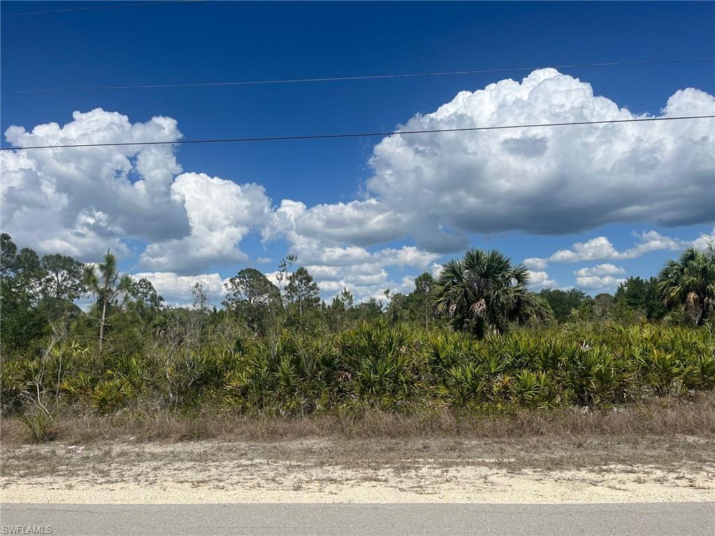 GOLDEN GATE ESTATES - Land