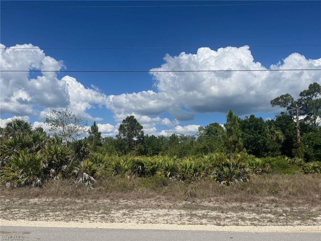 GOLDEN GATE ESTATES - Land