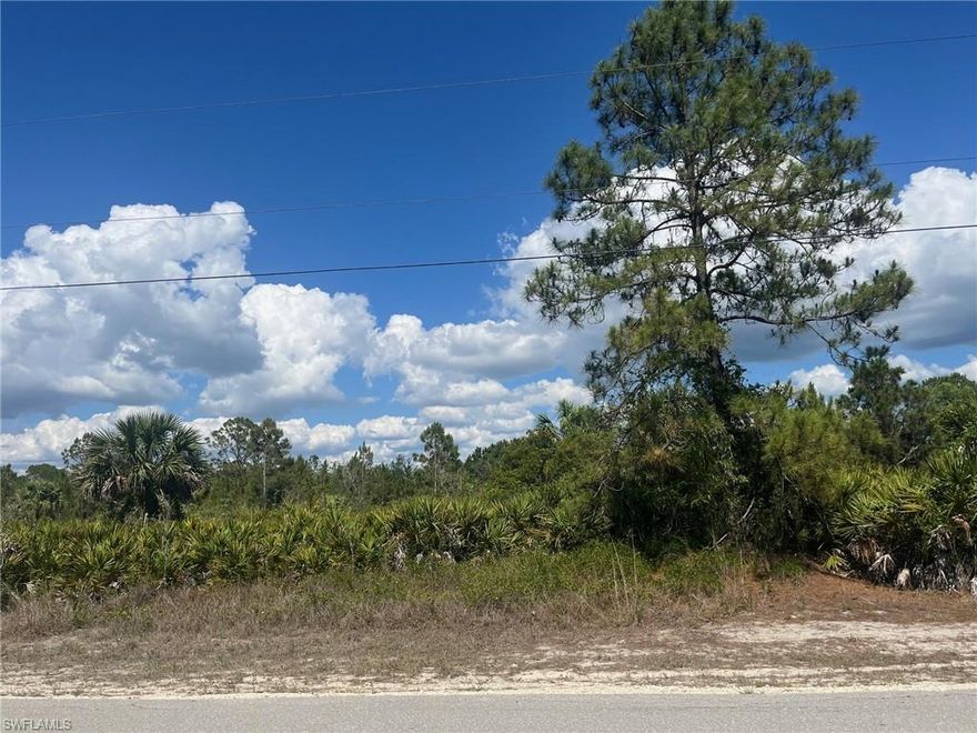 100% Uplands per the 2004 DEP Wetland Determination attached in Supplements. Enjoy the peaceful, country lifestyle of Golden Gate Estates, just minutes from the splendor and beautiful beaches of Naples, Florida. Build the home of your dreams on this magnificent sugar sand 5 acre property with pines and palmetto ground cover. Property is also large enough to split into two parcels and each parcel could have a main house and a guest house or stables. Zoning allows 2 horses per acre. Location convenient to schools and shopping.