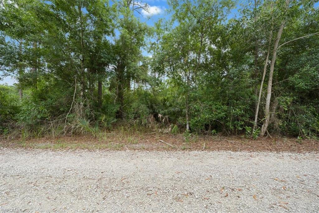 CORKSCREW ISLAND - Land