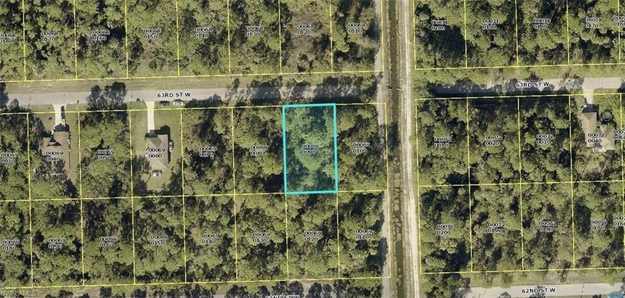 DO NOT miss out on this 1/2 ACRE lot in the fast growing Lehigh Acres! Take advantage of this lot already being clean and ready for you to build on!