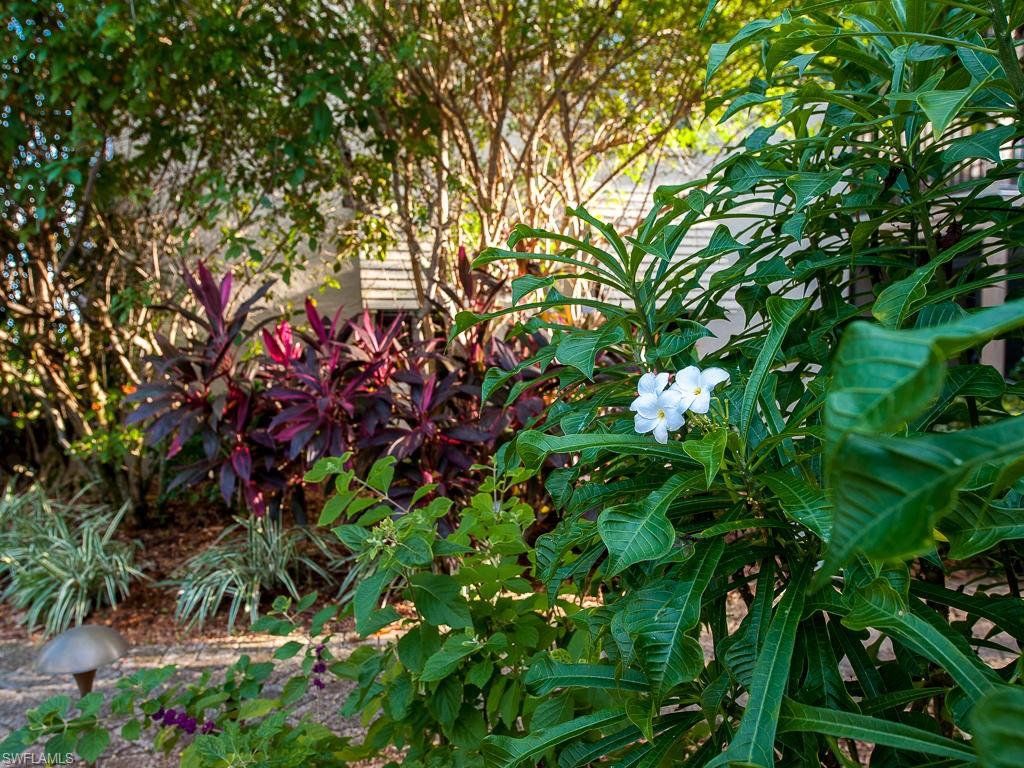 SANIBEL MOORINGS CONDO - Residential