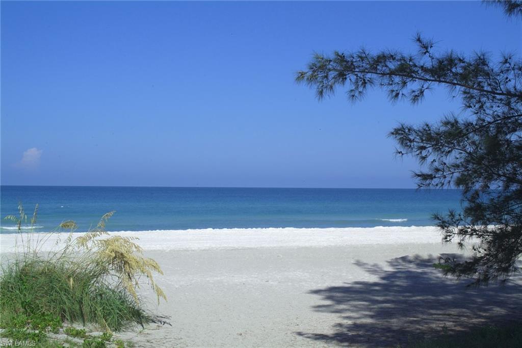 LEXINGTON AT PARK SHORE - Residential