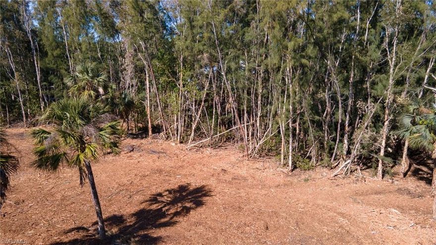 1.36 Acres of AG-2 Zoning in St James City.  This property has been cleared except for the privacy border and is in the process of having electric service brought to the lot which can be switched into the new owners name.  Great spot for your home or agricultural endeavors.