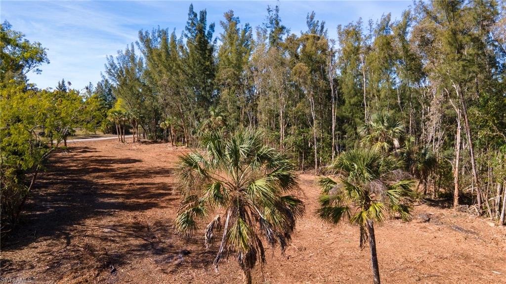 NOT APPLICABLE - Land