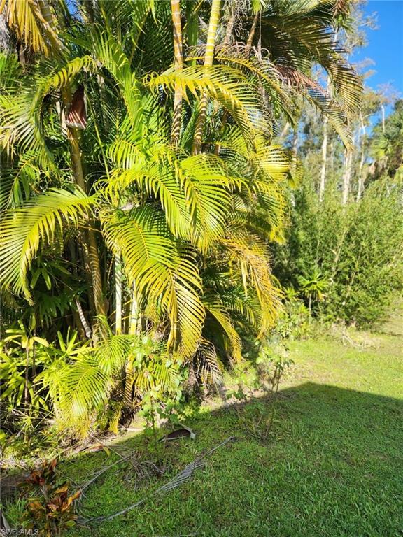 CORKSCREW WOODLANDS - Residential