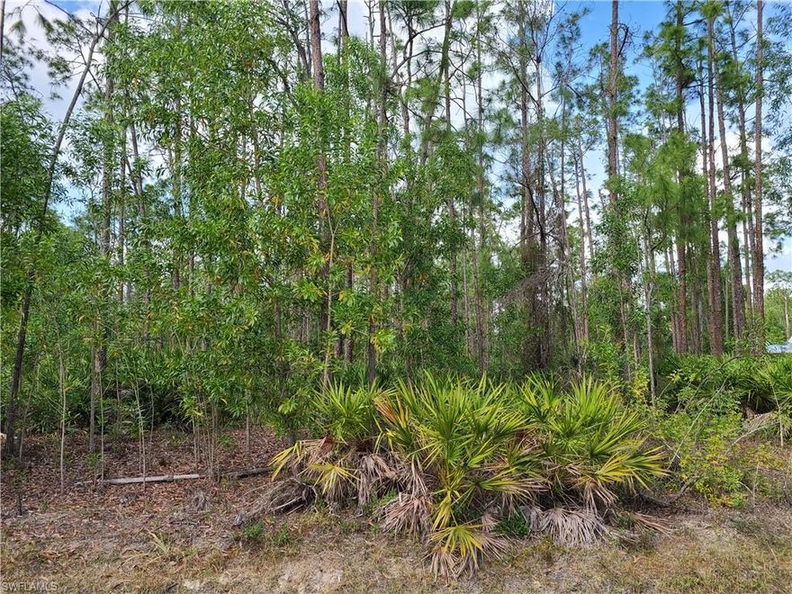 Wow!  This beautiful property is nestled among flora and fauna!  Build your dream home.  The lot size is 1.14 acres!  This property is just West of the home with the address of 4041 2nd Ave SE.  A great opportunity and great value! In 2003 it was determined to be an uplands property in a Wetlands Determination report from the county.  They indicated in the report that no Environmental Resource Permit was required.  The original report is available for any potential buyers review.