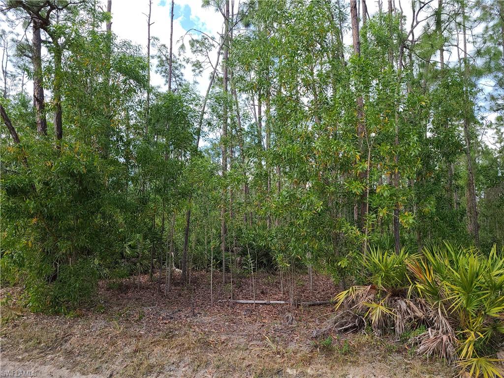 GOLDEN GATE ESTATES - Land