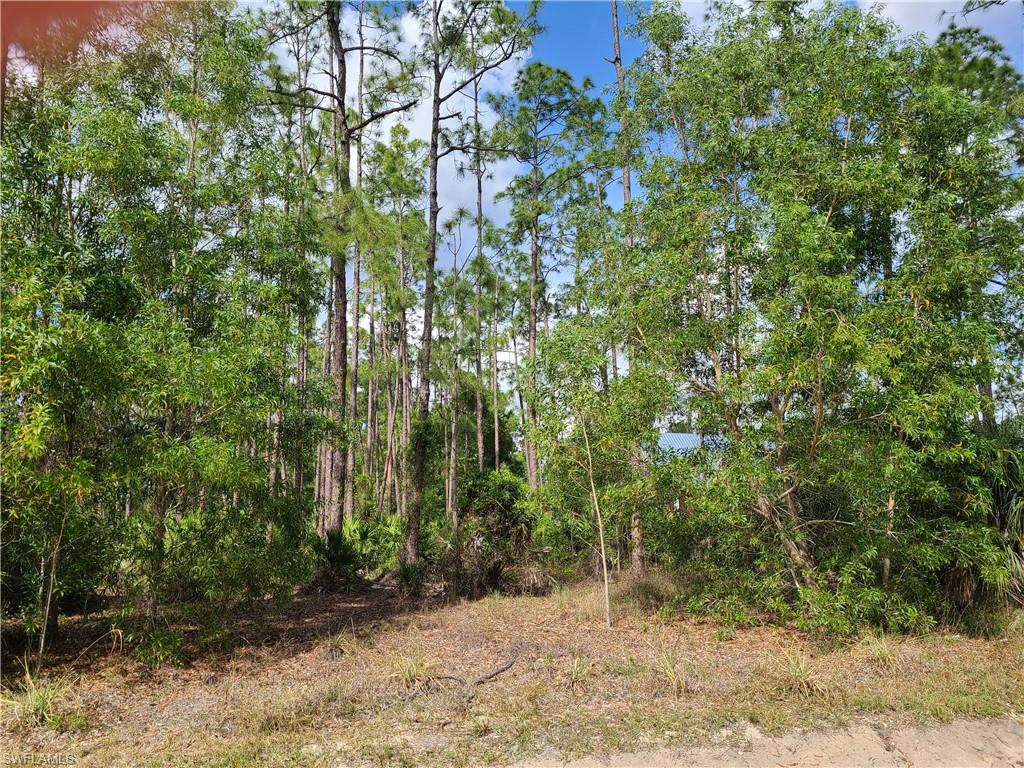 GOLDEN GATE ESTATES - Land