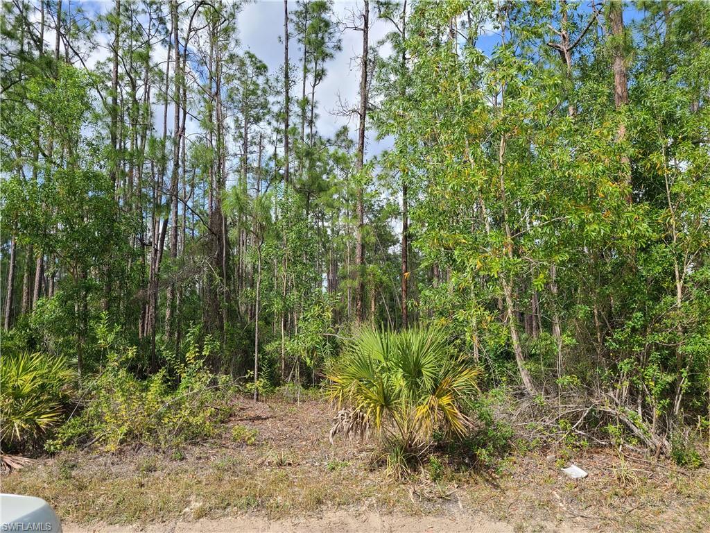 GOLDEN GATE ESTATES - Land