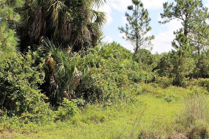 Great piece of Land.  Located off of Everglades and 20th Ave NE. This won't last long.