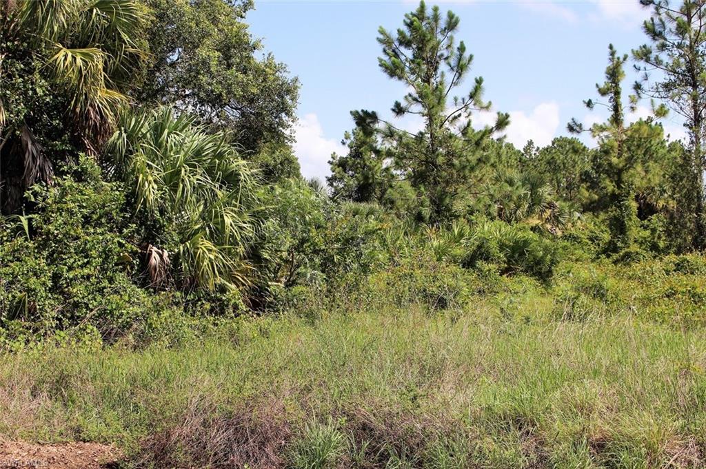 GOLDEN GATE ESTATES - Land