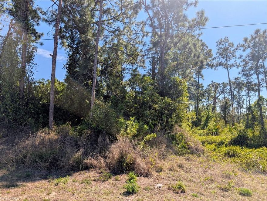Beautiful Eastern facing lot, NOW AVAILABLE and ready for you to build your dream home or to hold for future investment. GREAT PRICE and GREAT area with many newer builds, great location! Check out this property TODAY!
