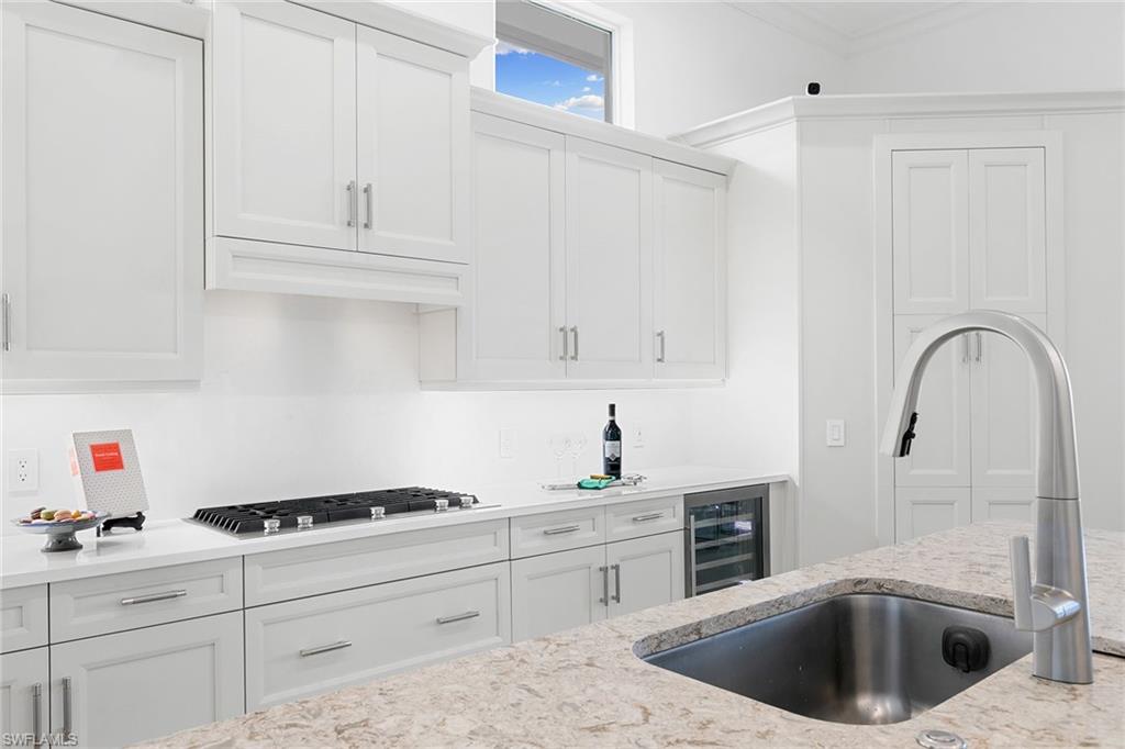 ISLES OF COLLIER PRESERVE - Residential